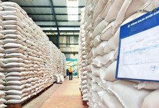 Fumigasi Jaga Kualitas Beras Bulog, Di Gudang Penyimpanan