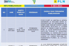 PENGUMUMAN! PT PLN Lakukan Pemadaman Listrik di Palembang, Lokasi Bergilir dari 2 hingga 7 Desember 2024