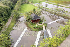 Kembangkan Lahan Basah Buatan, Hilangkan Bahan Pencemar, Netralkan Air Asam Tambang