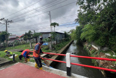 Legenda Sungai Buah Palembang, Tempat Berkumpulnya Pedagang dan Pohon Buah-Buahan Kini Jadi Nama Kelurahan