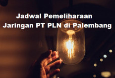 Info Penting: PLN Palembang Lakukan Pemeliharaan Jaringan, Berikut Kecamatan Berpotensi Pemadaman Listrik