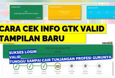 Begini Cara Mengecek Apakah NRG Sudah Keluar Atau Belum, Harus Gercep Biar TPG Cepat Cair