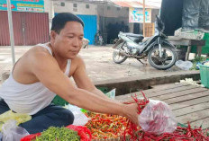 Harga Cabai Terjun Bebas