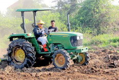 Tanam Cabai untuk Tekan Inflasi