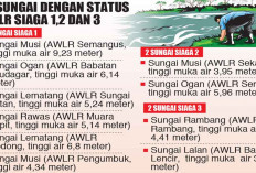Naik Tinggi, 10 Sungai Status Siaga, Berdasarkan Status AWLR, Tertinggi Sungai Musi 9,23 meter  