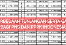 Beda Tunjangan Serta Gaji yang Diterima PPPK dan PNS