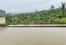 Jangan Cuma Jadi Aset, Dorong Optimalisasi BBI Tanjung Sakti 