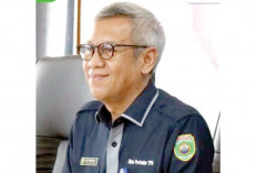 DPTH Sumsel Targetkan Kenaikan Produksi Padi 3,8 Jita Ton, Inj Upayanya 