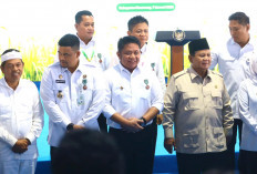 Tanda Kehormatan Untuk Gubernur Deru dari Presiden Prabowo, atas Kontribusi Swasembada Pangan 2025