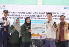 Semakin Produktif, Bantuan Alat Produksi Listrik dari PLN Siap Dukung Peningkatan UMK Putri Land Bouw