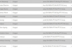 182 Kampus Terakreditasi Unggul BAN PT Juli 2025, Banyak Perguruan Tinggi Swasta Juga Lho!