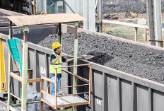 Di Tengah Dinamika Harga Global, PTBA Cetak Pertumbuhan Operasional