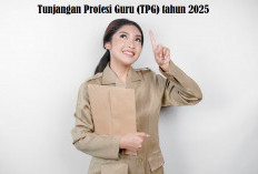 Persyaratan Penerima Tunjangan Sertifikasi Guru 2025 Telah Disahkan, ASN Wajib Penuhi Kriteria Ini