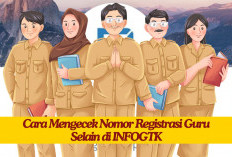 Cara Mengecek NRG Selain Melalui INFOGTK