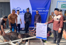 BRI Region 4 Palembang Salurkan 45 Hewan Kurban, Tebar Kepedulian hingga Pelosok Sumsel, Jambi dan Bangka