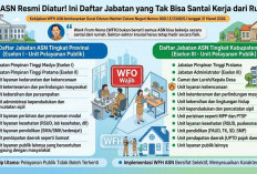 WFH ASN Resmi Diatur! Ini Daftar Jabatan yang Tak Bisa Santai Kerja dari Rumah