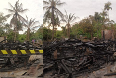 Diduga Lupa Matikan Lilin Saat Listrik Padam, Dua Rumah Panggung di Palembang Ludes Dilahap Si Jago Merah