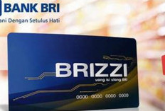 Top Up BRIZZI via Dompet Digital: Panduan Aman untuk Pemula