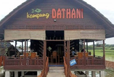 Rumah Makan Dathani OKI: Nikmati Makanan Tradisional dan Es Kelapa Muda di Atas Kapal dengan Pemandangan Sawah
