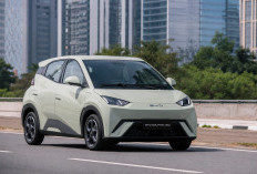 BYD Dolphin Mini, Mobil Listrik Murah yang Mulai Menggoda Pasar Indonesia