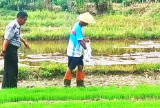 Semai Bibit Padi Unggul, Dukung Kemandirian Warga Binaan