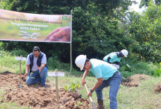 Cargill Rayakan 50 Tahun di Indonesia dengan Tanam 50.000 Pohon