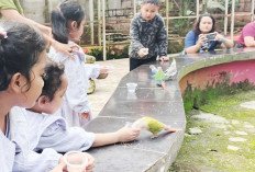 Diskon 10 Persen Selama Momen Liburan, Beri Makan Burung hingga Rusa, Bisa Naik Kuda