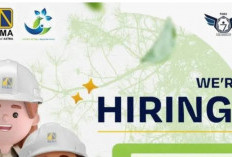 Lowongan WRN 2026 Dibuka! Fresh Graduate Akuntansi Siap-Siap Masuk Dunia ESG yang Menantang