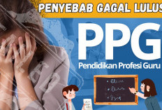 2025 Jadi Retaker, Dirjen Nunuk Sebut Tak Semua Peserta Lulus PPG Piloting 3, Ulangi Ujian yang Gagal