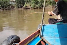 Keseruan Memancing, Antara Kolam Pemancingan dan Alam Liar