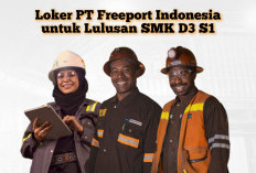 Segera Daftar! PT Freeport Indonesia Buka Lowongan untuk Lulusan SMK, D3 dan S1, Cek Kualifikasinya