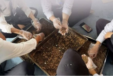  Berprotein Tinggi dan Penghasil Pupuk Organik, Budidaya Maggot di Lapas