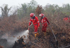 Tak ada Karhutla, Hotspot Tetap Terdeteksi di OKI