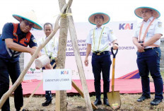 Dukung Pelestarian Lingkungan, Tanam Sejuta Pohon 