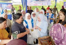 DPW IWAPI Sumsel Gelar Gerakan Pasar Murah di Kecamatan IB-1, Ini Tujuan Mulianya