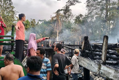 Korsleting Listrik, 17 Rumah di Banyuasin Hangus Terbakar
