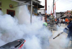 Selama Ramadhan Ada 40 Kasus DBD, Terjadi di Kota Palembang 