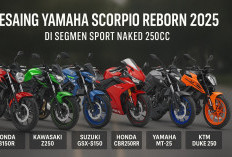 Daftar Motor Pesaing Yamaha Scorpio Reborn 2025 di Segmen Sport Naked 250cc