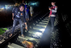 Perempuan Tewas Tertabrak Kereta Api di Empat Lawang, Polisi Masih Selidiki Penyebab Kejadian