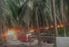 Sumur Minyak Ilegal Kembali Terbakar di Kawasan PT Hindoli, MUBA