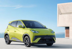 Canggih Tak Perlu Mahal! Menguliti BYD Atto 1, Mobil Listrik Paling Masuk Akal untuk Kota
