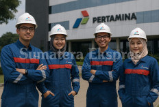 PT Pertamina Melirik, Ini 13 Kampus yang Alumninya Banyak Bekerja di Perusahaan Migas Itu	