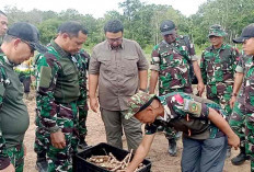 Tanam Singkong Libatkan  Warga Sekitar Omiba