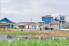 Warga Protes Bau Limbah Pabrik Sawit