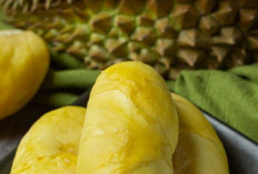 Ingat Ya, 6 Makanan Ini Tidak Boleh Disantap Bareng Durian, Efeknya Bikin Mabuk dan Radang