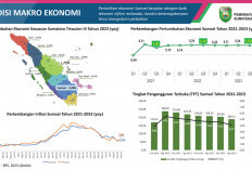 Pertumbuhan Ekonomi Sumsel Lampaui Nasional  Tertinggi di Sumatera 