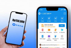 Cara Cek Saldo DANA dengan Mudah, Cepat, dan Aman