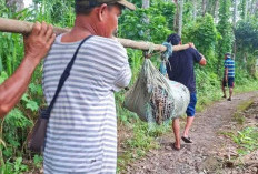 Dipicu Perselisihan soal Pembagian Hasil Panen Kopi, Menantu Habisi Mertua Sendiri