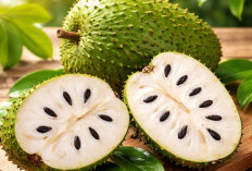 7 Manfaat Buah Sirsak untuk Kesehatan yang Jarang Diketahui