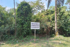 Jangan Mudah Tergiur Lahan Murah di Area Bandara, Cek Keabsahan di BPN Bisa Jadi Milik Negara